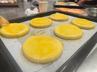 IMG 3554
